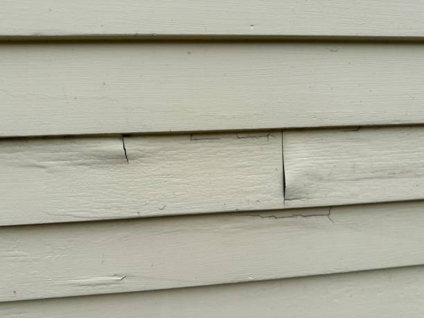 Best Insulated Siding Installation  in Gibsonton, FL